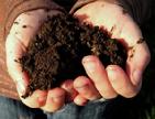 Compost Chiropractic