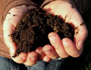Compost